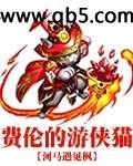费伦的游侠猫封面