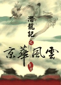 潜龙记之京华风云封面