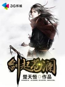 剑起苍澜封面