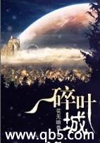 碎叶城封面