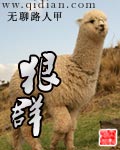 狠群 狠群