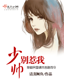 少帅别惹我封面