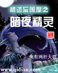 被遗忘国度之暗夜精灵封面