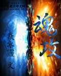 魂攻封面