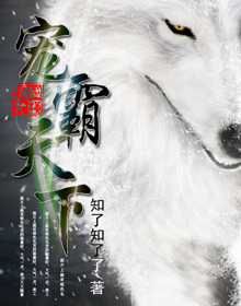 霸宠天下封面