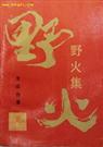 野火集封面