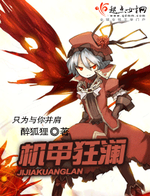 机甲狂澜封面