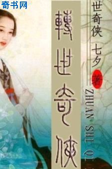 转世奇侠封面