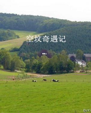 空坟奇遇记封面