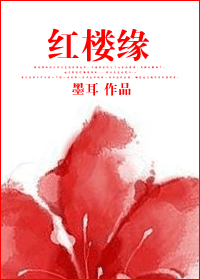 红楼缘封面