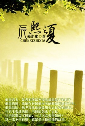 辰熙之夏封面