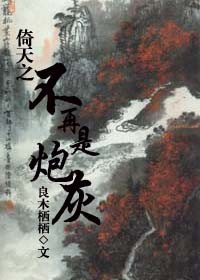 倚天之不再是炮灰封面
