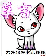 江湖草封面