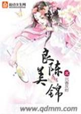 良陈美锦封面