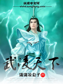 武凌天下封面