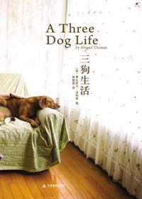 三狗生活封面