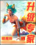 升级专家封面