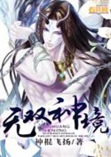 无双神境封面