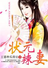 状元辣妻封面