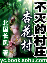 不灭的村庄(上部)封面