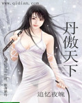 丹傲天下封面