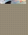 ĩ֮鹭