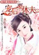 宠后要休夫封面