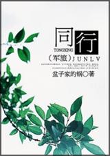 同行(军旅)封面