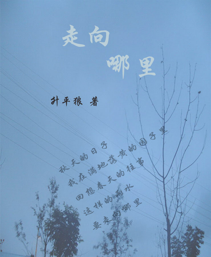 走向哪里封面