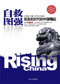 自救图强:后危机时代的中国崛起封面