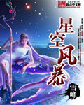 星空风暴封面