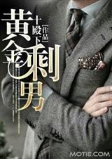 黄金剩男封面