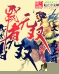 霸者无双封面