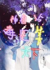 神偷毒医冷笑天下封面