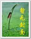 傲视苍穹封面