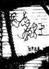 病态疯狂封面