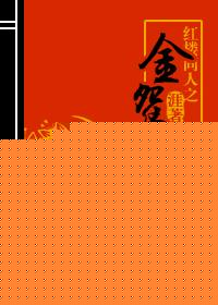 红楼同人之金鸳鸯封面