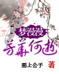 梦漫漫芳华何逝封面