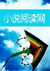 天神乐章:失落的圣灵封面