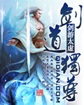 剑道独尊封面