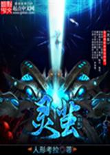 灵茧封面