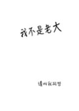 我不是老大封面