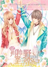 帅帅皇子野蛮妃封面