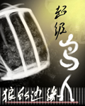 超级鸟人封面