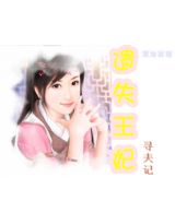 遗失王妃寻夫记封面