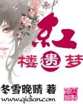 红楼遗梦(已完结)封面