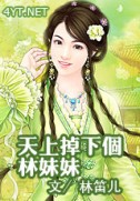 天上掉下个林妹妹封面