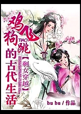 剩女穿越:鸡飞狗跳的古代生活封面