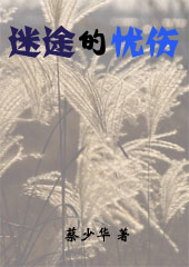 迷途的忧伤封面