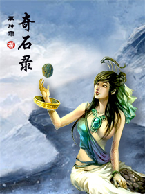 奇石录封面